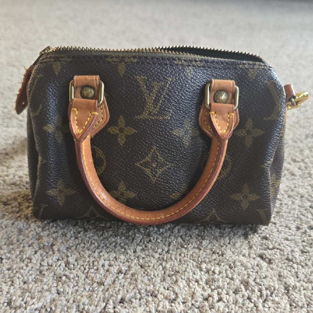 Louis Vuitton Mini Bag - Black and Brown